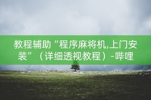 教程辅助“程序麻将机,上门安装”（详细透视教程）-哔哩哔哩