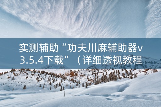 实测辅助“功夫川麻辅助器v3.5.4下载”（详细透视教程）-哔哩哔哩