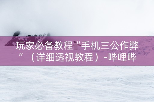 玩家必备教程“手机三公作弊”（详细透视教程）-哔哩哔哩
