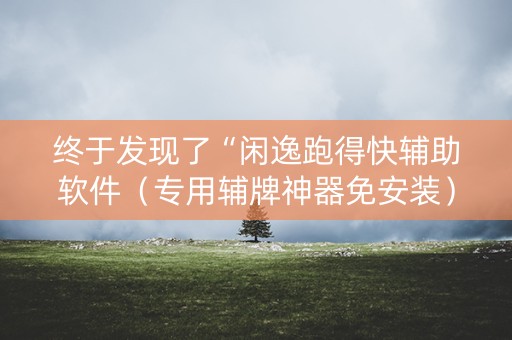 终于发现了“闲逸跑得快辅助软件（专用辅牌神器免安装）