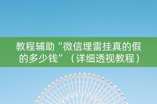 教程辅助“微信埋雷挂真的假的多少钱”（详细透视教程）-哔哩哔哩