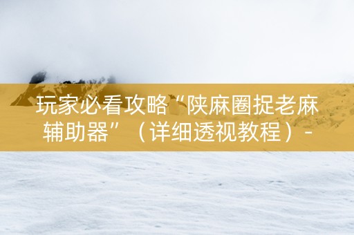 玩家必看攻略“陕麻圈捉老麻辅助器”（详细透视教程）-哔哩哔哩