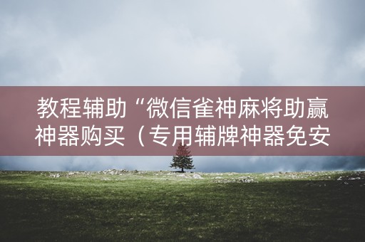 教程辅助“微信雀神麻将助赢神器购买（专用辅牌神器免安装）