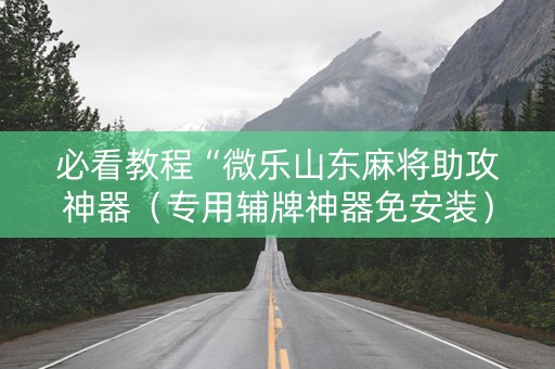必看教程“微乐山东麻将助攻神器（专用辅牌神器免安装）