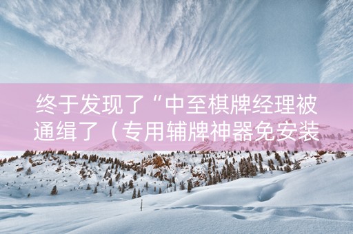 终于发现了“中至棋牌经理被通缉了（专用辅牌神器免安装）