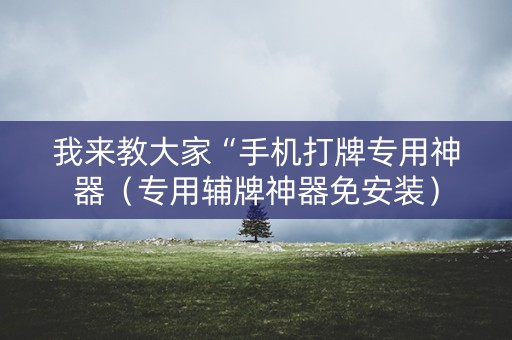 我来教大家“手机打牌专用神器（专用辅牌神器免安装）