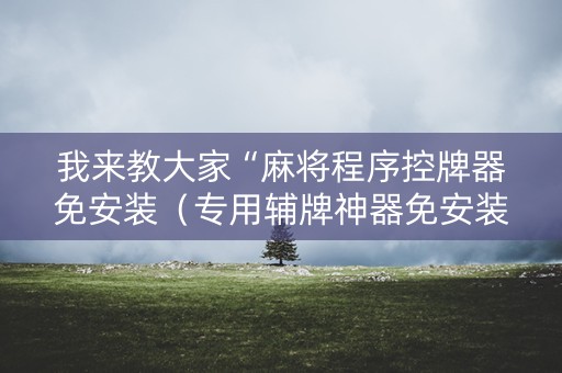 我来教大家“麻将程序控牌器免安装（专用辅牌神器免安装）