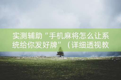 实测辅助“手机麻将怎么让系统给你发好牌”（详细透视教程）-哔哩哔哩