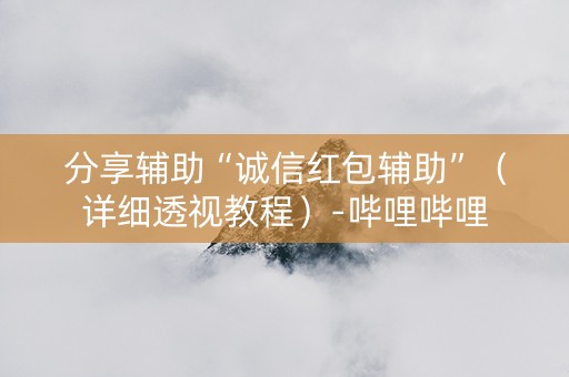 分享辅助“诚信红包辅助”（详细透视教程）-哔哩哔哩