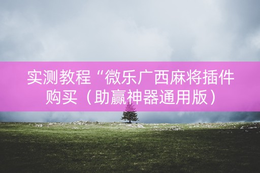 实测教程“微乐广西麻将插件购买（助赢神器通用版）