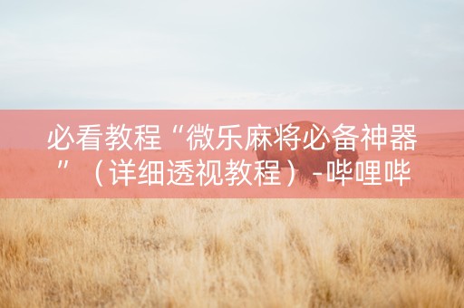 必看教程“微乐麻将必备神器”（详细透视教程）-哔哩哔哩
