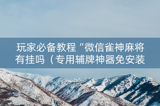 玩家必备教程“微信雀神麻将有挂吗（专用辅牌神器免安装）