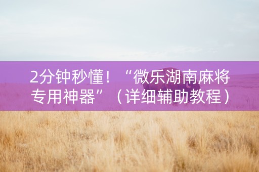 2分钟秒懂！“微乐湖南麻将专用神器”（详细辅助教程）-哔哩哔哩