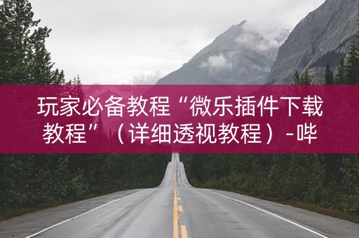 玩家必备教程“微乐插件下载教程”（详细透视教程）-哔哩哔哩
