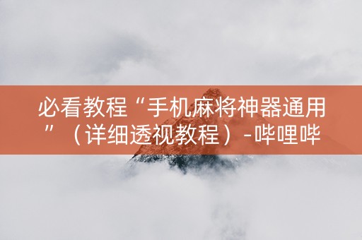 必看教程“手机麻将神器通用”（详细透视教程）-哔哩哔哩