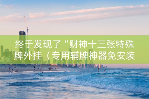 终于发现了“财神十三张特殊牌外挂（专用辅牌神器免安装）