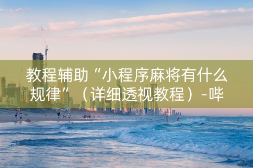 教程辅助“小程序麻将有什么规律”（详细透视教程）-哔哩哔哩