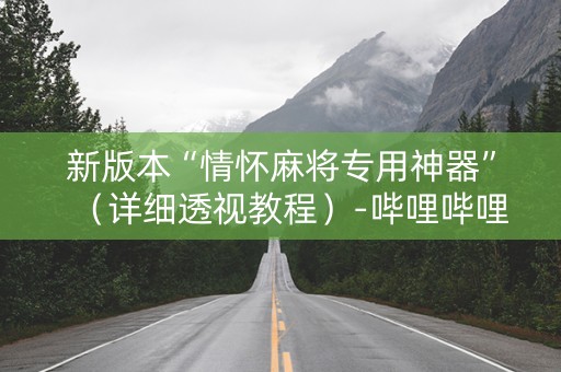 新版本“情怀麻将专用神器”（详细透视教程）-哔哩哔哩