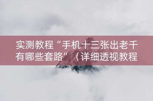 实测教程“手机十三张出老千有哪些套路”（详细透视教程）-哔哩哔哩