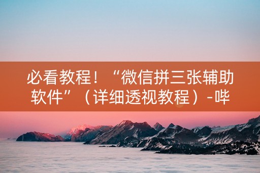 必看教程！“微信拼三张辅助软件”（详细透视教程）-哔哩哔哩