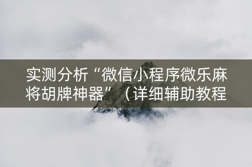实测分析“微信小程序微乐麻将胡牌神器”（详细辅助教程）-哔哩哔哩