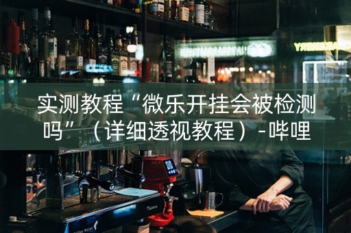 实测教程“微乐开挂会被检测吗”（详细透视教程）-哔哩哔哩