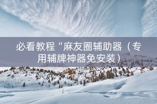 必看教程“麻友圈辅助器（专用辅牌神器免安装）