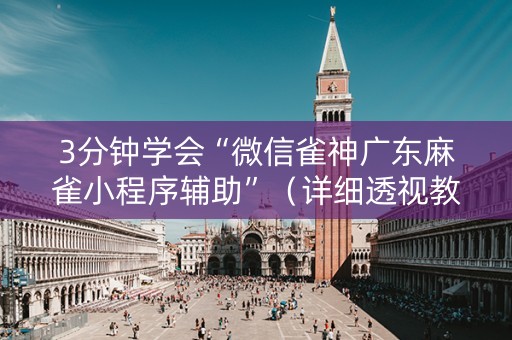 3分钟学会“微信雀神广东麻雀小程序辅助”（详细透视教程）-哔哩哔哩