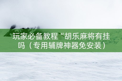 玩家必备教程“胡乐麻将有挂吗（专用辅牌神器免安装）
