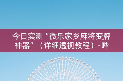 今日实测“微乐家乡麻将变牌神器”（详细透视教程）-哔哩哔哩