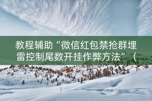 教程辅助“微信红包禁抢群埋雷控制尾数开挂作弊方法”（详细透视教程）-哔哩哔哩