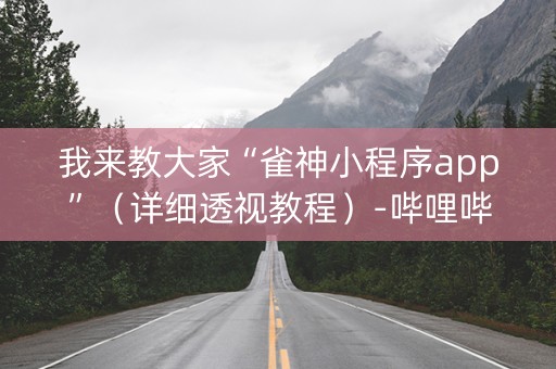 我来教大家“雀神小程序app”（详细透视教程）-哔哩哔哩