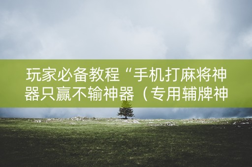 玩家必备教程“手机打麻将神器只赢不输神器（专用辅牌神器免安装）