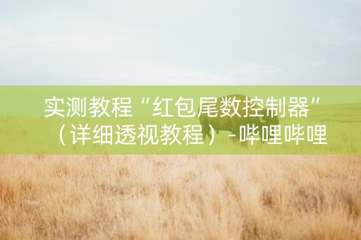实测教程“红包尾数控制器”（详细透视教程）-哔哩哔哩
