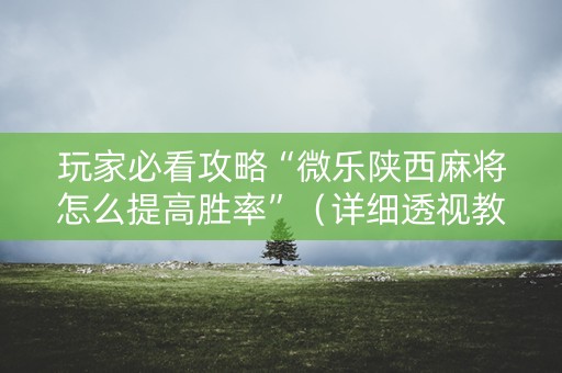 玩家必看攻略“微乐陕西麻将怎么提高胜率”（详细透视教程）-哔哩哔哩