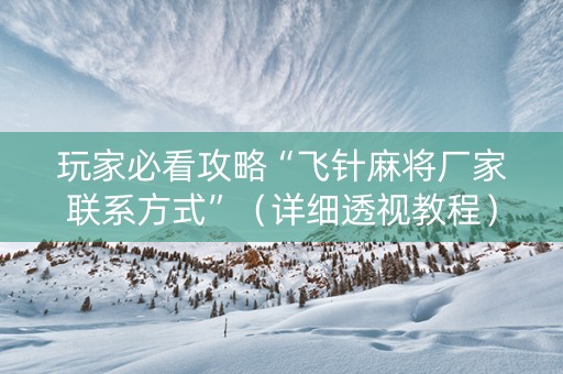 玩家必看攻略“飞针麻将厂家联系方式”（详细透视教程）-哔哩哔哩