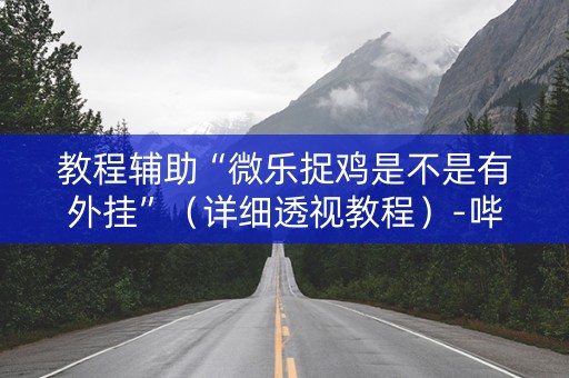 教程辅助“微乐捉鸡是不是有外挂”（详细透视教程）-哔哩哔哩