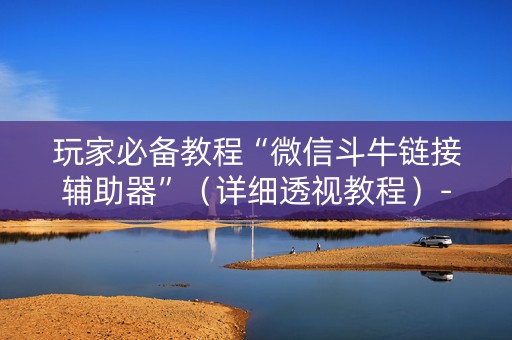 玩家必备教程“微信斗牛链接辅助器”（详细透视教程）-哔哩哔哩