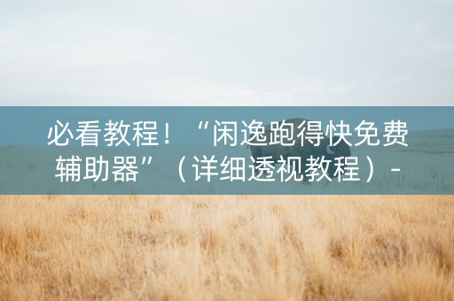 必看教程！“闲逸跑得快免费辅助器”（详细透视教程）-哔哩哔哩
