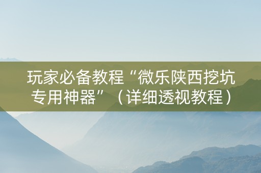 玩家必备教程“微乐陕西挖坑专用神器”（详细透视教程）-哔哩哔哩