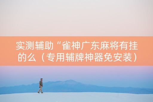实测辅助“雀神广东麻将有挂的么（专用辅牌神器免安装）