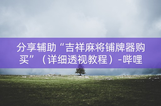 分享辅助“吉祥麻将铺牌器购买”（详细透视教程）-哔哩哔哩