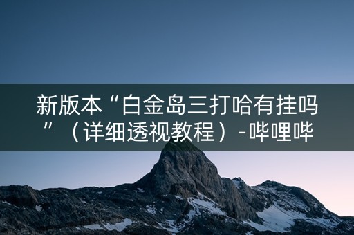 新版本“白金岛三打哈有挂吗”（详细透视教程）-哔哩哔哩