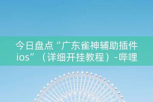 今日盘点“广东雀神辅助插件ios”（详细开挂教程）-哔哩哔哩