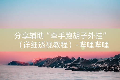 分享辅助“牵手跑胡子外挂”（详细透视教程）-哔哩哔哩