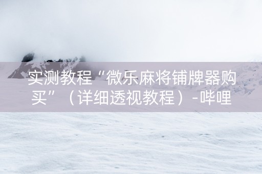 实测教程“微乐麻将铺牌器购买”（详细透视教程）-哔哩哔哩