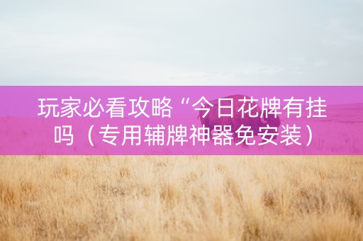 玩家必看攻略“今日花牌有挂吗（专用辅牌神器免安装）