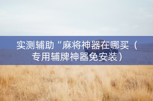实测辅助“麻将神器在哪买（专用辅牌神器免安装）