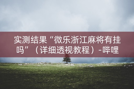 实测结果“微乐浙江麻将有挂吗”（详细透视教程）-哔哩哔哩