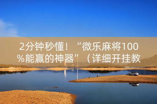 2分钟秒懂！“微乐麻将100%能赢的神器”（详细开挂教程）-哔哩哔哩